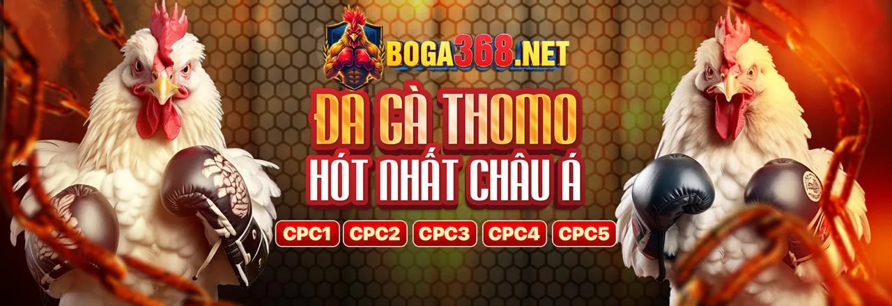 Banner khuyến mãi đá gà độc quyền tại ko66 game