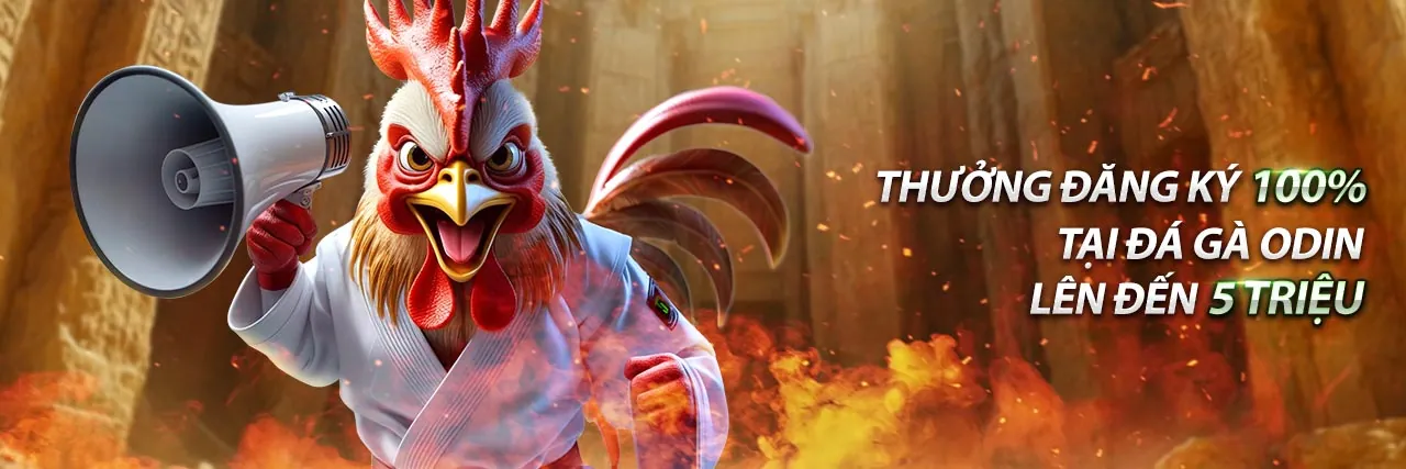 Hình ảnh tổng quan về tiền thưởng và phúc lợi KO66 Game 2026
