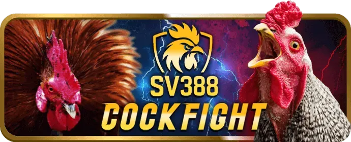 Đối tác nhà sáng tạo nội dung ko66 game